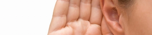 Externer Qualitätsmanagementbeauftragter (QMB) und internes Audit